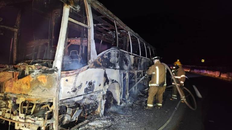 El accidente se reportó sobre la carretera Federal 15D Tepic-Guadalajara, a la altura del kilómetro 82, en el municipio de Ixtlán del Río, en Nayarit.
