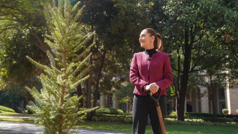 Sheinbaum envió su mensaje de agradecimiento para el país mientras sembraba un árbol.