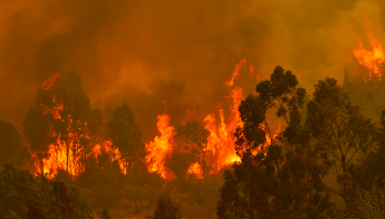 $!Claves para entender la reciente resolución de la Corte Interamericana que obliga a los países a atender la crisis climática