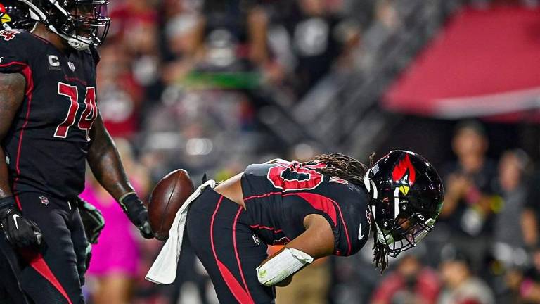Arizona Cardinals sale avante.