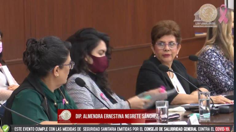 La diputada Almendra Negrete Sánchez, presidente de la Comisión de Igualdad de Género y Familia.