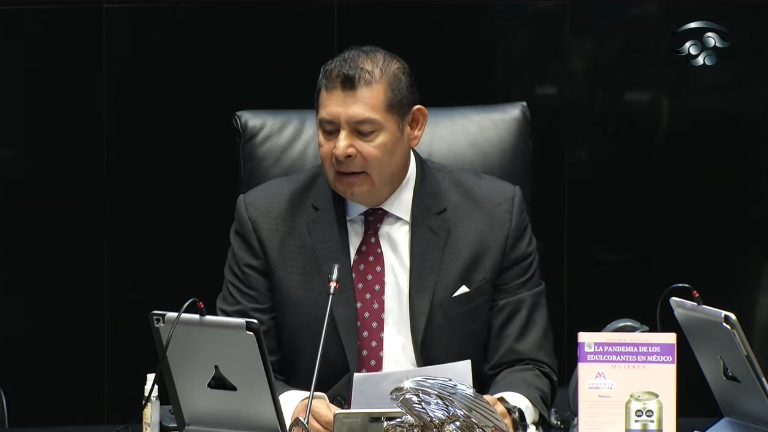 El Senador Alejandro Armenta Mier solicitó invalidar la Ley General de Transparencia y Acceso a la Información Pública.