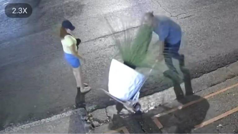Un hombre y una mujer fueron grabados mientras robaban una maceta de una funeraria para mascotas en Culiacán.