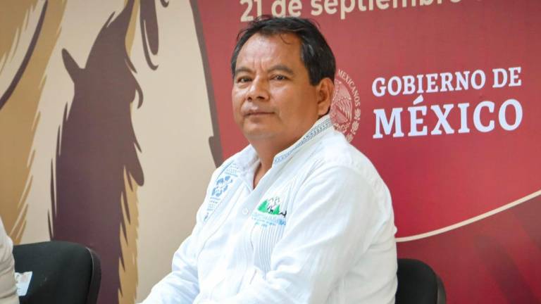 Teófilo Marín Pablo actual presidente municipal de Mazatlán Villa de Flores, Oaxaca.