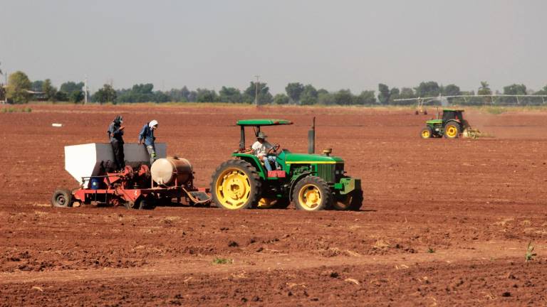 Se anticipa una fuerte sequía para 2024 que pondrá en aprietos la producción masiva en México de maíz, frijol y en general del mercado de granos, semillas y oleaginosas.