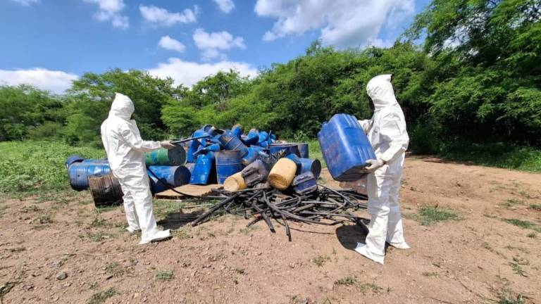 Elementos del Ejército, Guardia Nacional y autoridades locales destruyen laboratorios clandestinos y plantíos de mariguana en Culiacán y Cosalá.