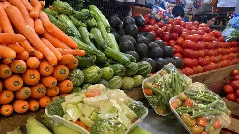 Durante la primera quincena de julio se registra una reducción en la inflación.