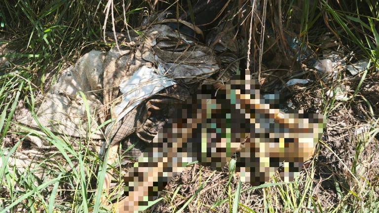 El colectivo Sabuesos Guerreras localizó una osamenta y restos de ropa durante una jornada de rastreo en Campo Canán.