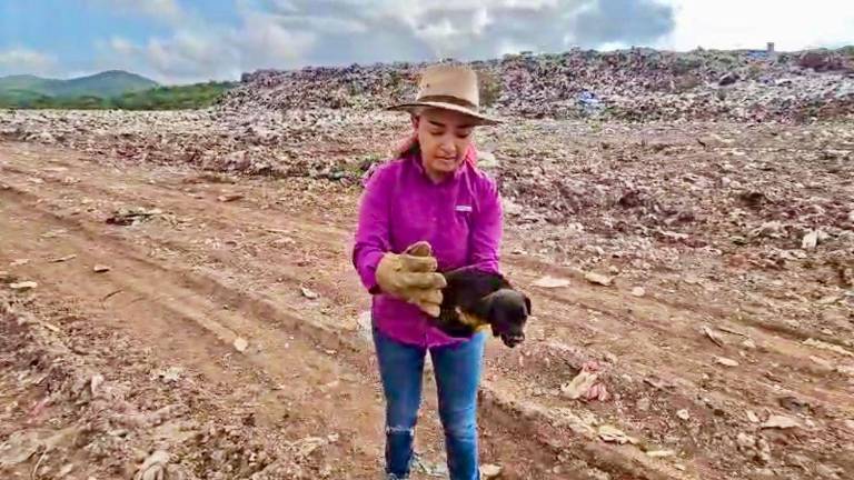 Eunice Murúa Figueroa, titular de Ecología y Medio Ambiente del Gobierno Municipal, muestra a unos de los perritos rescatados en el Basurón municipal.