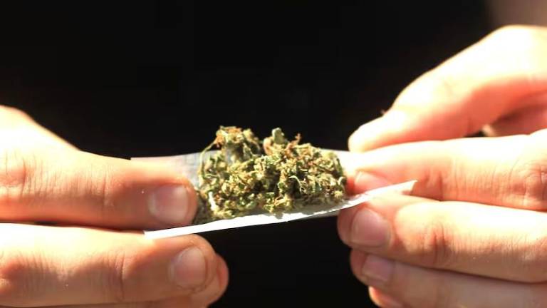 La mariguana es la droga que más se consume en Mazatlán.