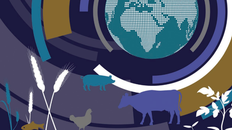 Este jueves fue publicado el informe OCDE‑FAO Perspectivas Agrícolas 2022‑2031.