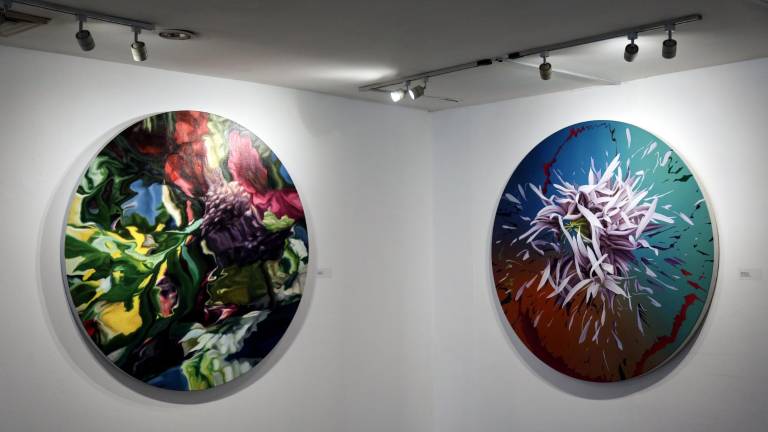 La exposición sigue abierta hasta el 27 de este mes.