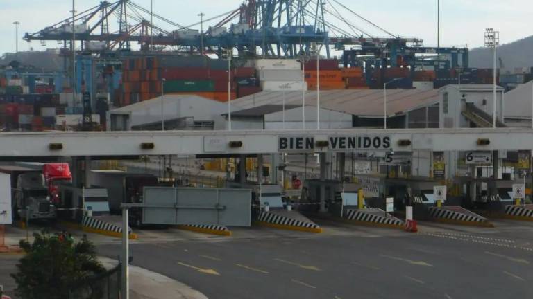 El subadministrador de Operación Aduanera de Manzanillo, Colima, Sergio Emmanuel Martínez, fue encontrado asesinado el lunes tras haber sido privado de la libertad el domingo.