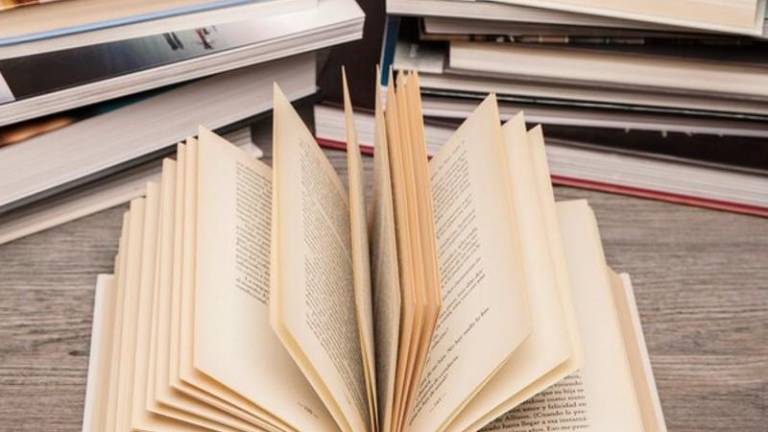 El galardón se otorgará a un libro cuya primera edición haya sido publicada en México durante el 2024 .