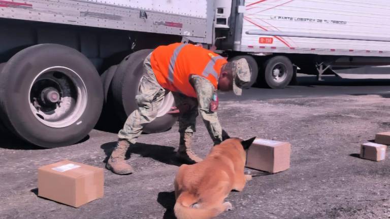 Militares inspeccionan vehículos en el punto de revisión de “El Desengaño”, donde fue localizada una caja con droga en un camión de paquetería.