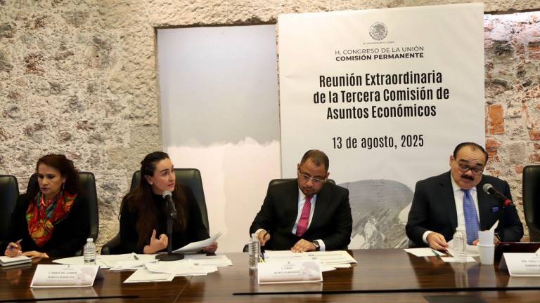 Comparecencia de María del Carmen Bonilla en la Comisión Permanente.