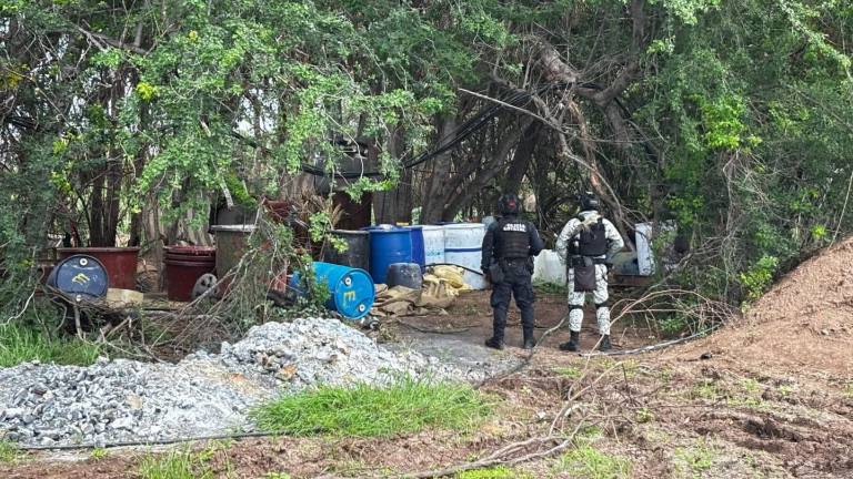 Policías estatales y Guardia Nacional aseguraron un área para la elaboración de drogas en Mocorito.