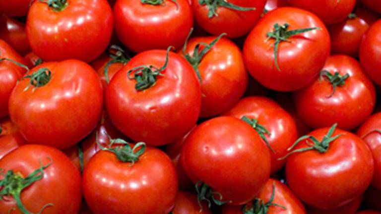 El Gobierno de Estados Unidos anunció la imposición de un arancel de 17 por ciento al tomate mexicano.