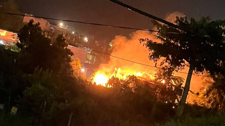 En Las Coloradas se observó una columna de humo y llamas provocada por un incendio la noche de este domingo.