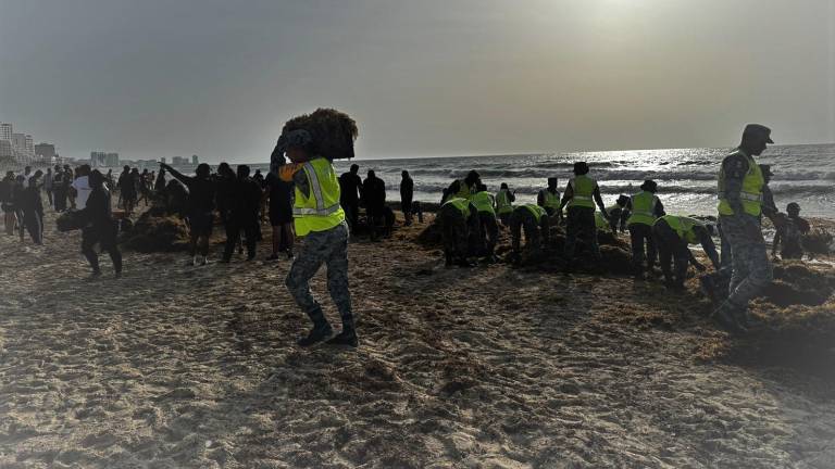 Personal de la Guardia Nacional contribuye a la limpieza de sargazo en playas de Cancún.