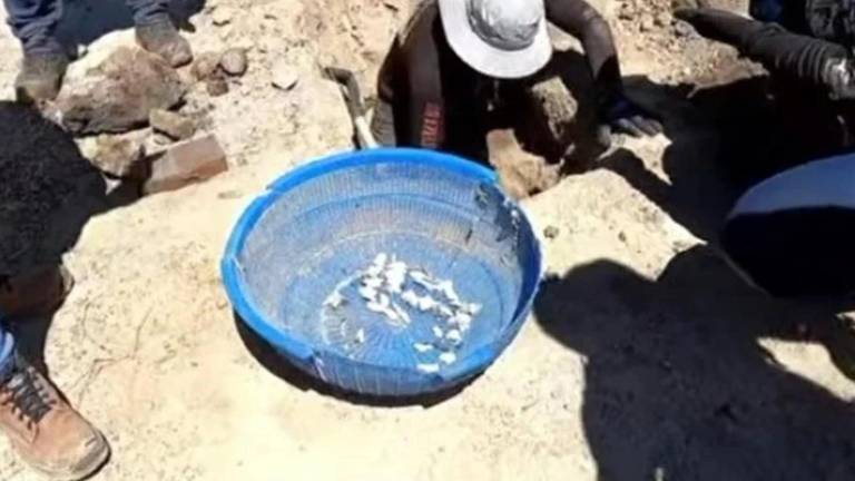 El colectivo Guerreros Buscadores de Jalisco presentó videos del hallazgo de restos humanos calcinados en el rancho Izaguirre en Teuchitlán, Jalisco.