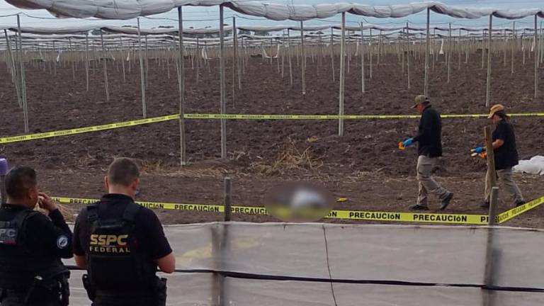 Autoridades resguardaron el campo agrícola donde fue hallado el cuerpo de José Arturo y aseguraron la zona para la investigación.