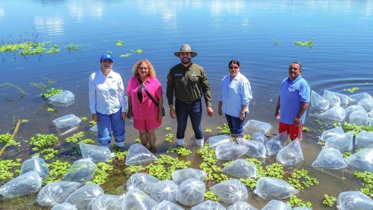 La acción beneficiará de forma directa a 218 pescadores pertenecientes a siete cooperativas pesqueras.