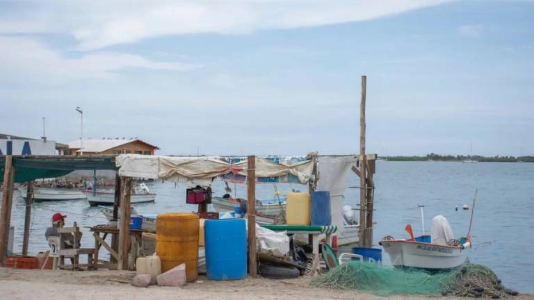 En la región del Mar de Cortés buscan promover proyectos que permitan reducir la huella de carbono.