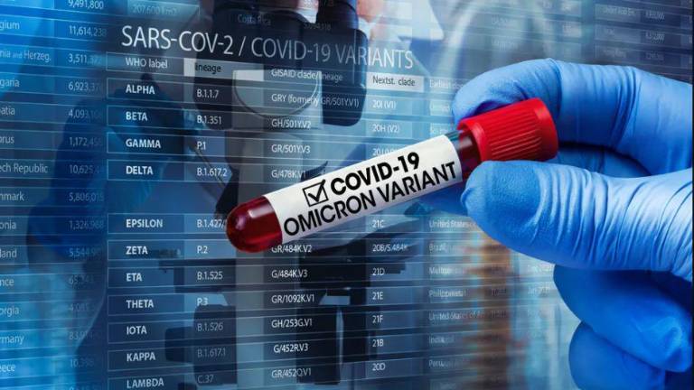 ¿Qué tan peligrosa es la nueva variante Ómicron?