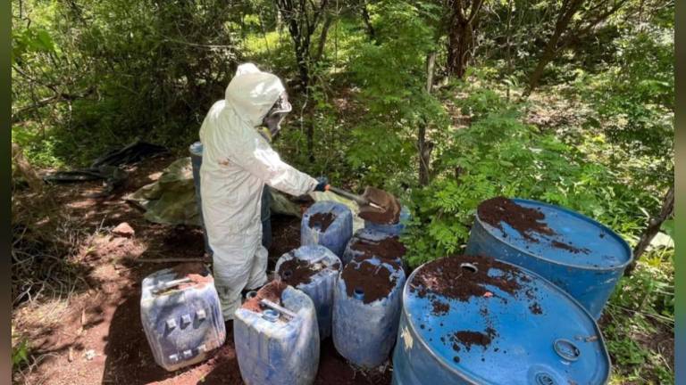Elementos militares destruyeron cuatro puntos de concentración utilizados para la elaboración de drogas sintéticas en Culiacán y Cosalá.
