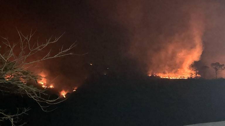 El incendio en un cerro de Chirimoyos en la sierra de Concordia, avanza esta noche.