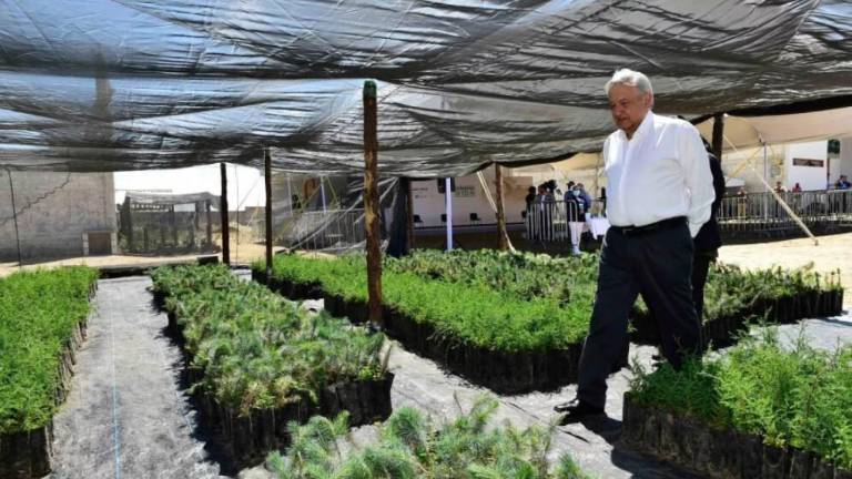 Presidente Andrés Manuel López Obrador.