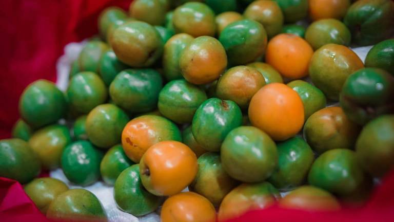 La Expo Ciruela 2025 busca impulsar la economía local a través de la tradición frutícola del Pueblo Señorial perteneciente a Concordia.