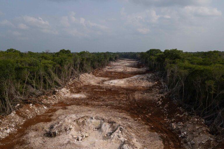 $!Pérdida de cobertura forestal provocada por la construcción del Tren Maya.