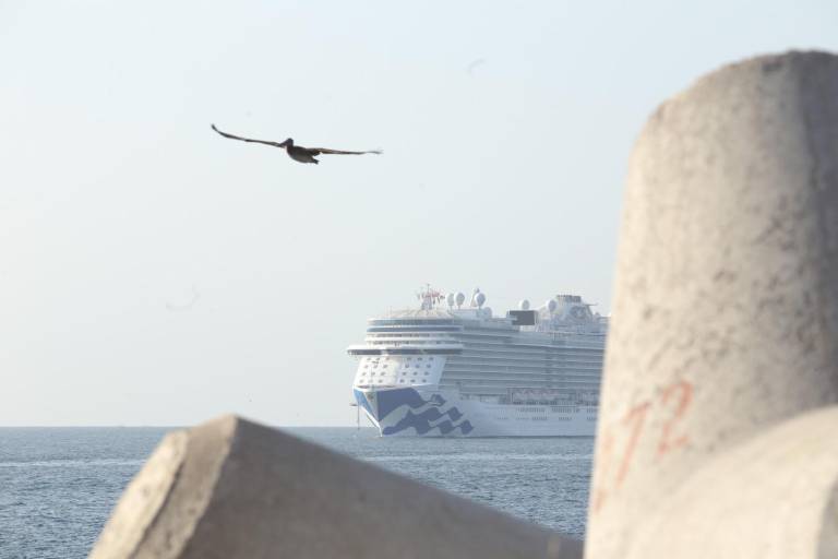 Llega al puerto el crucero Discovery Princess con 3 mil 706 pasajeros