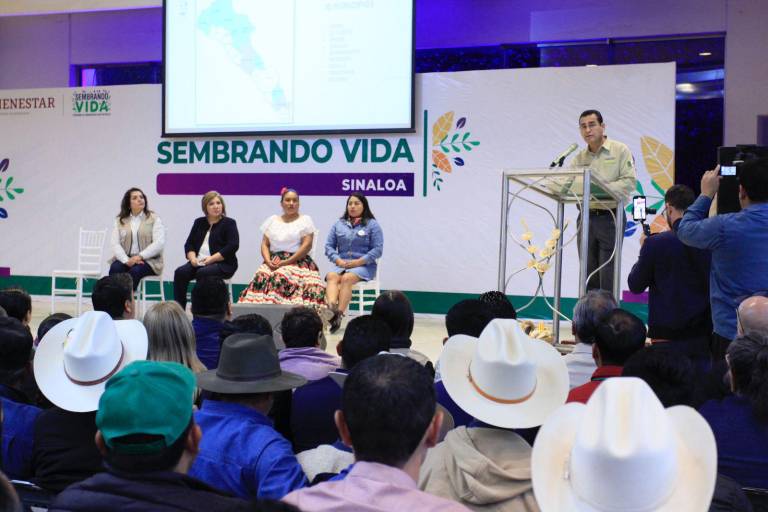 Anuncian desde Sinaloa que se buscará que programa Sembrando Vida esté en la Constitución