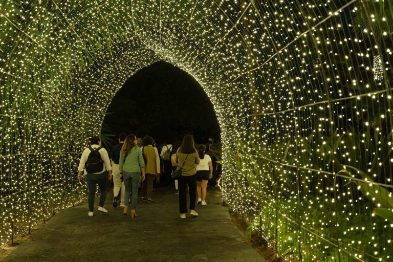 Más de 82 mil acuden a la Navidad en el Botánico