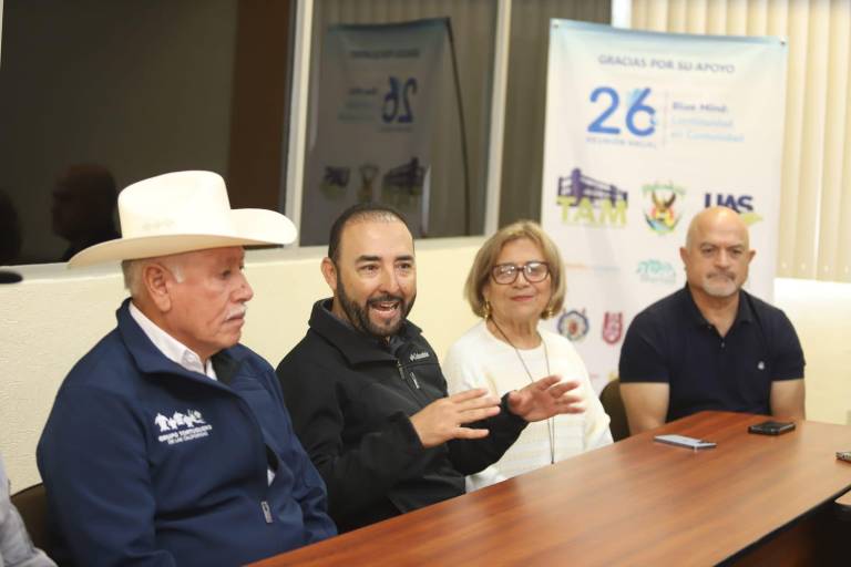 Reportan aumento en la población de tortuga negra y golfina en México