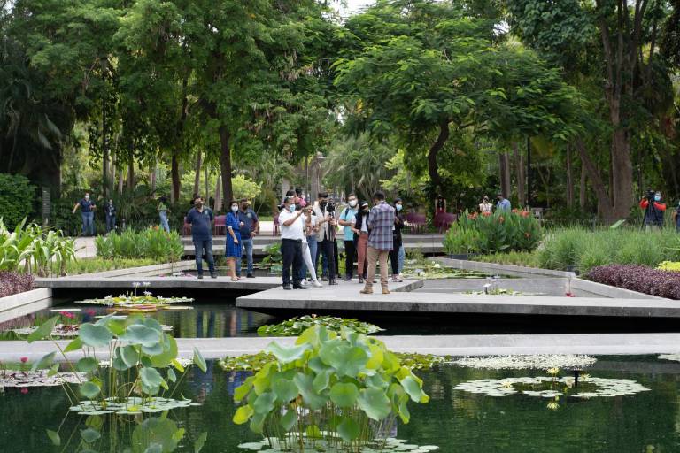 Renueva Jardín Botánico Culiacán su colección acuática