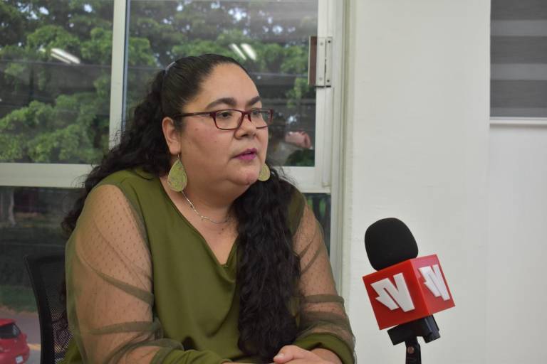 Instituto de Protección sí dio apoyos a periodistas desplazados, pero ya los agotó, según la ley