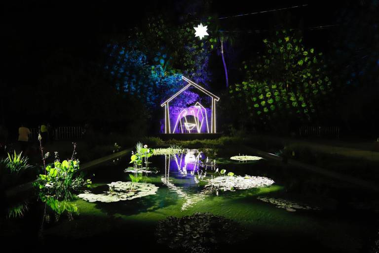 Se ilumina de Navidad el Jardín Botánico de Culiacán por sus 35 años