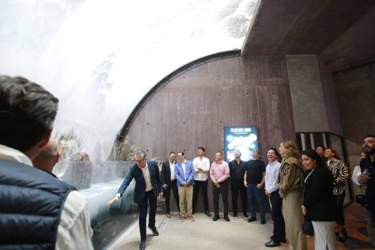 Presenta Datemex documental del Gran Acuario Mazatlán
