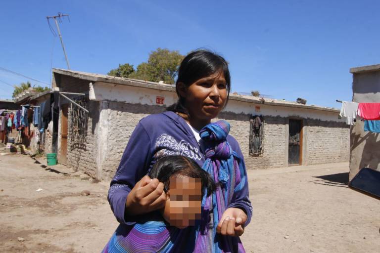 Urge Save the Children a garantizar trabajo digno en campos agrícolas de Sinaloa