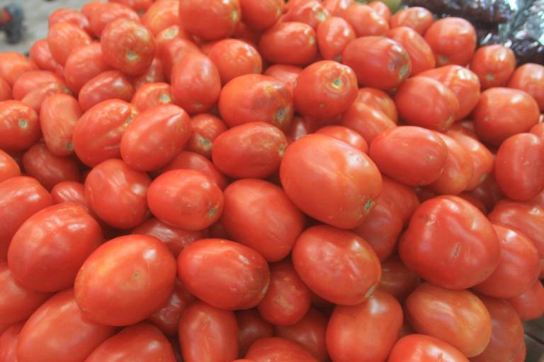 Sigue presionando Florida las importaciones de tomate mexicano
