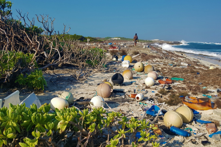Los barcos atuneros europeos vierten los residuos de la pesca en las aguas de Seychelles ‘con impunidad’