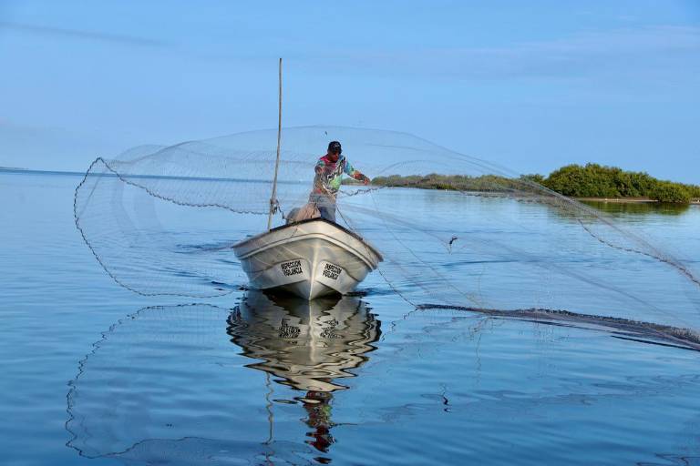 Entregan más de $122 millones para el pago de Bienpesca en Sinaloa