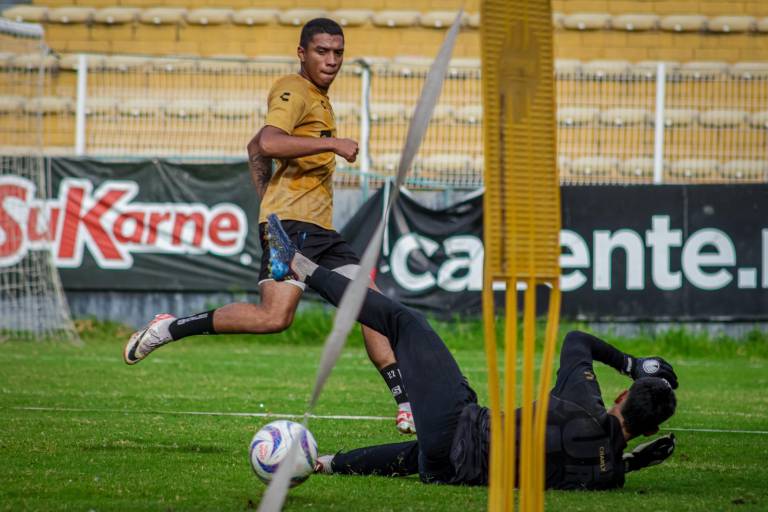 Calendario listo para Dorados de Sinaloa