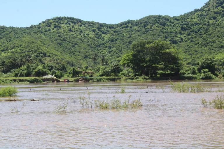 Descartan que extender la veda sea la solución ante falta de camarón en lagunas