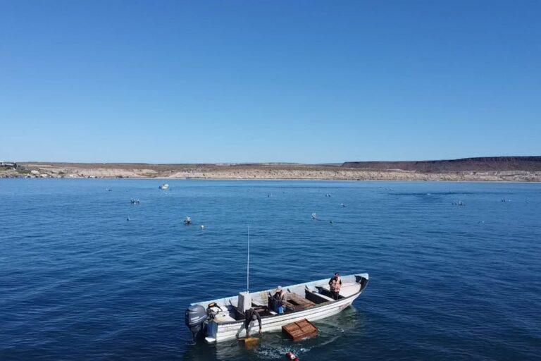 $!México se enfrenta a compañía de Estados Unidos que busca extraer fósforo del mar en Baja California Sur