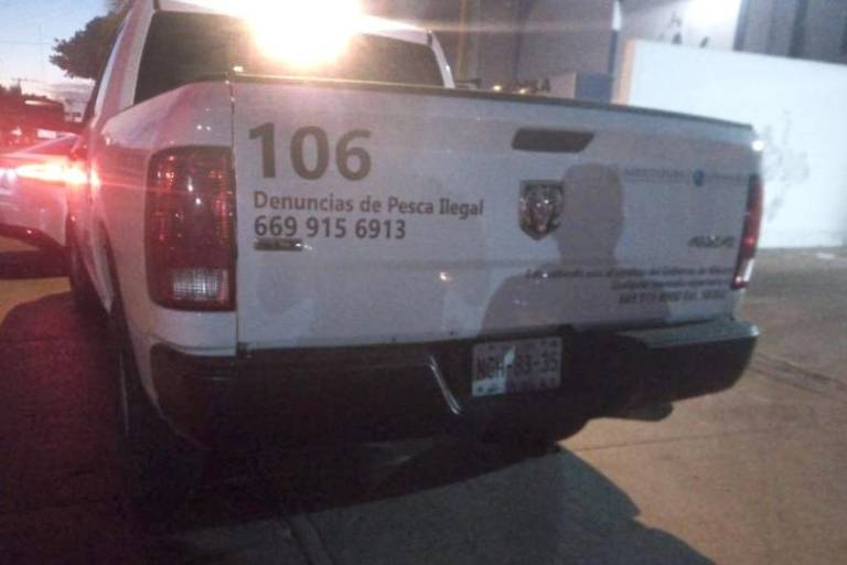 En Mazatlán, intentan robar dorado valuado en $2 millones; hay detenidos